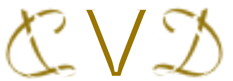 v_pachinko_logo-min.webp